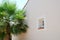 Small window on a facade of provencal house with a palm tree