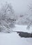 Small winter stream under snowbound trees under snow in winter.