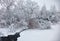 Small winter stream under snowbound trees under snow in winter.