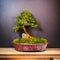 Small Wonders: The Charm of Bonsai Trees on Wooden Surfaces