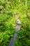 Small wood plank and mesh hunters trail through green forest