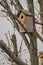 Small wooden birdhouse on tree