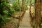 Small wooden bridge crossing stream creek for laotian people and foreign traveler walking travel visit of Wildlife Sanctuaries Zoo