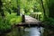 small wooden bridge stretching over a tranquil creek