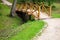 Small wooden bridge and walking lane in park