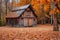 A small wooden building nestled among a dense cluster of trees and adorned with vibrant autumn leaves, A rustic barn house