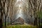 Small wooden cabin in the rubber tree forest Foggy morning The atmosphere looks fresh