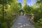 Small wooden covered bridge Oregon.