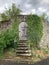 Small wooden door, entrance with an old stone staircase with an old wall, overgrown with ivy, a blank for the designer, wallpaper