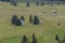 Small wooden farm house, cottage or log cabins on meadow on Alpe di Siusi, Seiser Alm, South Tyrol, Italy