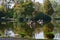 Small wooden floating duck houses