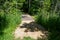 Small wooden footbridge spanning a swamp along a trail in Minneopa State Park in Mankato, Minnesota in spring