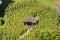 A small wooden gazebo in the middle of a vineyard in Prague, Czech republic