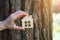 Small wooden house against old tree bark, natural sunny  bokeh background