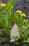 Small wooden house in the middle of dandelions