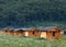 Small wooden houses in a campsite on Vadu Crisului, Bihor county, Romania