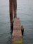 a small wooden jetty at the canal