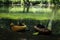 Small wooden kayak moored on the tranquil riverbank of the Drawa River