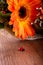 Small wooden ladybug in front of bouquet of gerberas