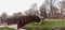 A small wooden pedestrian bridge leading to historical medieval Zrinyi Castle early in the morning, Szigetvar, Hungary