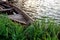 A small wooden rowing boat with a broken bottom on a calm lake near the shore