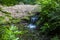 A small woodland glade with a stream in a typical Irish Glen