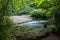 A small woodland glade with a stream in a typical Irish Glen