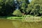 A small woodland lake in the countryside surrounded by trees