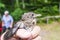 Small wounded bird cared for by nature lover