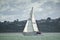 Small yacht sailing fast at Tamaki River