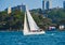 Small Yacht Sailing on Sydney Harbour, Australia