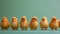 Small Yellow Chickens Standing Together