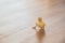 A Small yellow duckling is learning how to walk