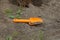 A small yellow plastic baby scoop is lying on gray sand