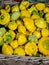 Small Yellow Squash at a farmers market in a basket