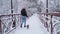 Small yorkie walk on leash with owner on the bridge. Yorkshire terrier running with girl in a winter snow-covered park