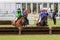 Small young children racing on shetland ponies