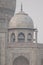 Smaller dome of the Taj Mahal in Agra.