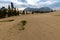 The smallest desert at Carcross in Canada