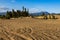 The smallest Desert of the world at Carcross