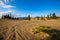 The smallest Desert of the world at Carcross