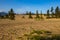 The smallest Desert of the world at Carcross