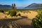 The smallest Desert of the world at Carcross