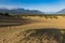 The smallest Desert of the world at Carcross