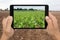 Smart agriculture with augmented reality technology futuristic c