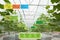 Smart agriculture concept, Agronomist or farmer use Artificial i