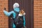 Smart Basenji dog sitting inside of comfortable own porters  backpack and waiting when friend open the entry door and invite to co