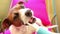 Smart dog Jack Russel Terrier brushing teeth using electric toothbrush