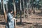 Smart farmer agriculturist Rubber tree plantation