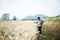 Smart farmer checking barley farm with laptop
